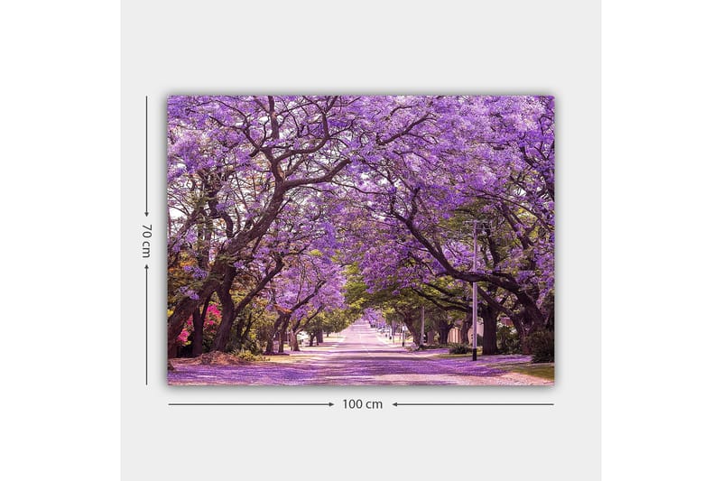 Lerretsbilde 70x100 cm - Vakker allé med lilla blomstrende trær som skaper en drømmeaktig atmosfære - Lilla / Grønn - Innredning - Bilder & kunst - Lerretsbilder