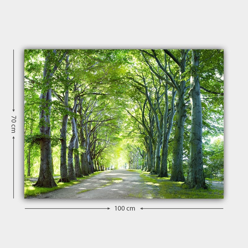 Lerretsbilde 70x100 cm - Vakker allé med trær som skaper en fredelig og innbydende sti - Grønn / Lys grønn / Brun - Innredning - Bilder & kunst - Lerretsbilder