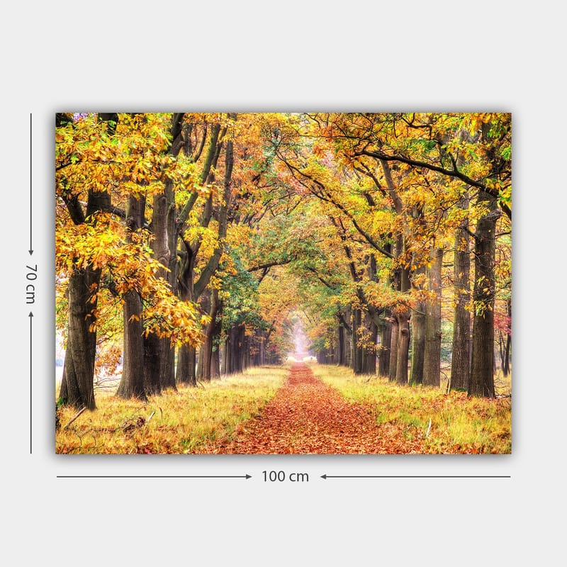 Lerretsbilde 70x100 cm - Vakker allé omgitt av høstfargede trær som fører mot en lysere horisont - Gyllenoransje / Grønn / Brun - Innredning - Bilder & kunst - Lerretsbilder