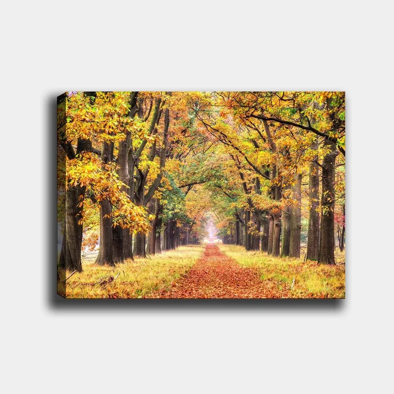 Lerretsbilde 70x100 cm - Vakker allé omgitt av høstfargede trær som fører mot en lysere horisont, Gyllenoransje / Grønn / Brun