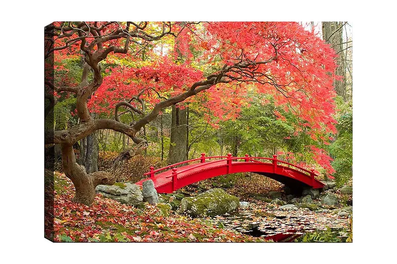 Lerretsbilde 70x100 cm - Vakker bro i rødt omgitt av høstfargede trær og blader, Rød / Grønn / Brun