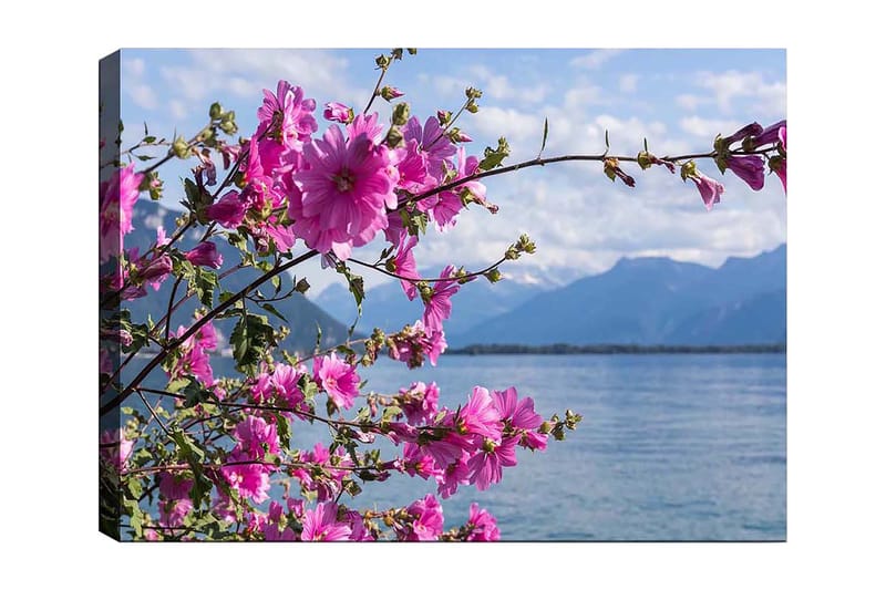 Lerretsbilde 70x100 cm - Vakker gruppe blomster som strekker seg over en innsjø med fjell i bakgrunnen - Rosa / Grønn - Innredning - Bilder & kunst - Lerretsbilder