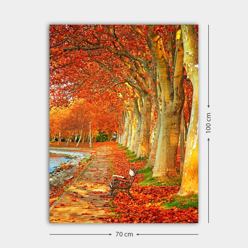 Lerretsbilde 70x100 cm - Vakker høstscene med en benk langs en allé med trær med glitrende røde og oransje blader - Rød / Oransje / Gul - Innredning - Bilder & kunst - Lerretsbilder