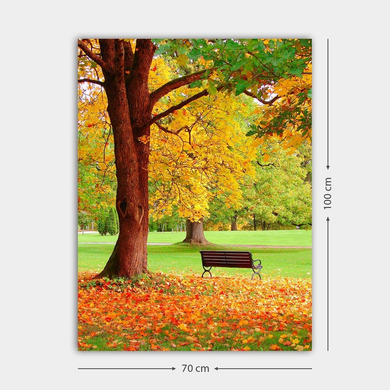Lerretsbilde 70x100 cm - Vakker høstscene med en benk under et fargerikt tre - Gyllengul / Oransje / Brun - Innredning - Bilder & kunst - Lerretsbilder