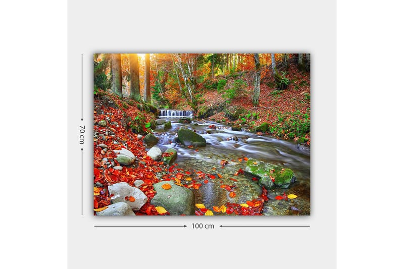 Lerretsbilde 70x100 cm - Vakker høstscene med en rislende bekk omgitt av fargerike høstblader - Rød / Grønn / Brun - Innredning - Bilder & kunst - Lerretsbilder