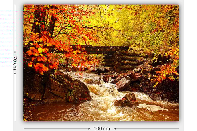 Lerretsbilde 70x100 cm - Vakker høstscene med en rislende bekk omgitt av fargerike trær og blader i varme nyanser - Oransje / Gul / Brun - Innredning - Bilder & kunst - Lerretsbilder