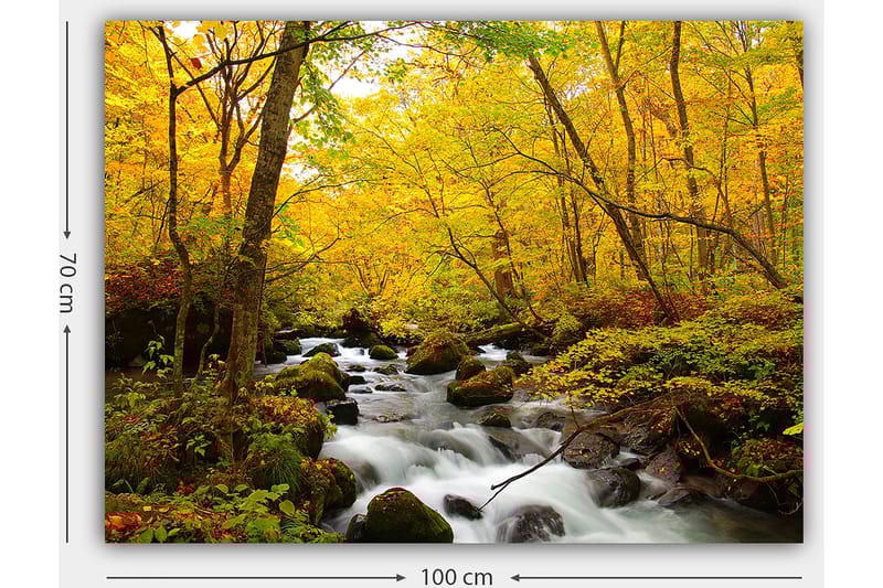 Lerretsbilde 70x100 cm - Vakker høstscene med en rislende bekk omgitt av gylne og røde trær - Gyllengul / Mørkegrønn / Rød - Innredning - Bilder & kunst - Lerretsbilder
