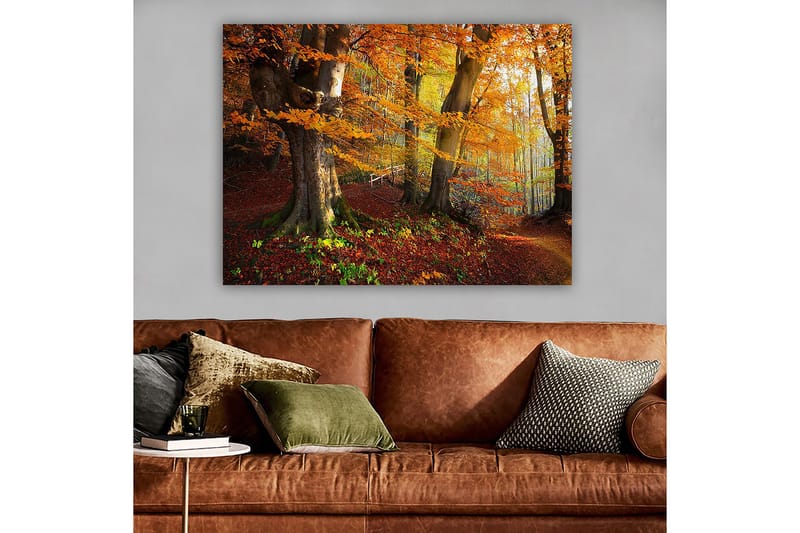 Lerretsbilde 70x100 cm - Vakker høstskog med fargerike trær og falne blader - Oransje / Rød / Brun - Innredning - Bilder & kunst - Lerretsbilder