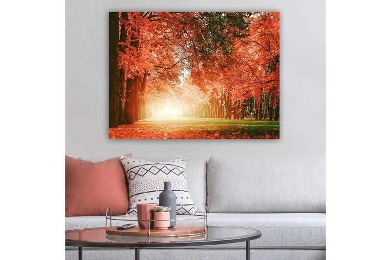 Lerretsbilde 70x100 cm - Vakker høstskog med strålende oransje og røde blader som skaper en varm og innbydende atmosfære - Oransje / Rød / Grønn - Innredning - Bilder & kunst - Lerretsbilder