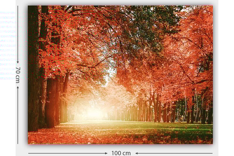 Lerretsbilde 70x100 cm - Vakker høstskog med strålende oransje og røde blader som skaper en varm og innbydende atmosfære - Oransje / Rød / Grønn - Innredning - Bilder & kunst - Lerretsbilder