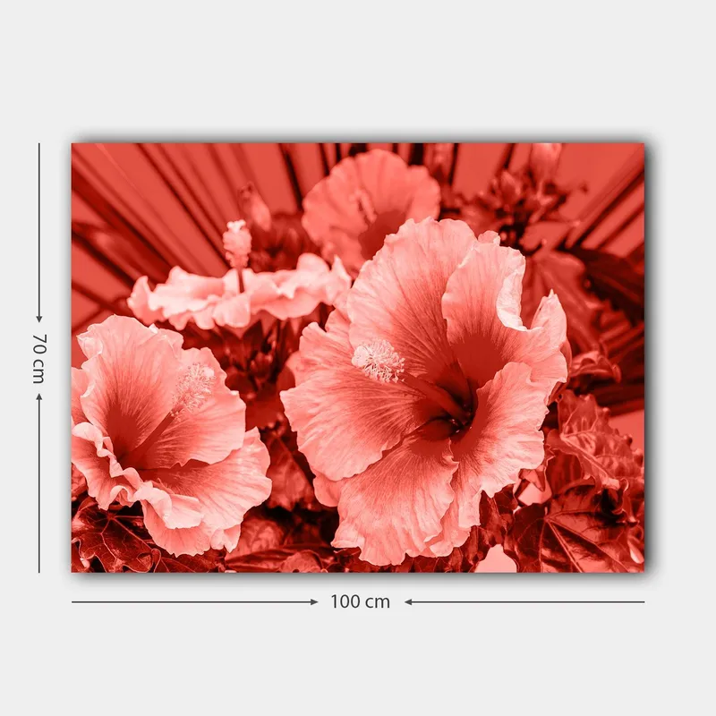 Lerretsbilde 70x100 cm - Vakker komposisjon av hibiskusblomster i forskjellige røde nyanser - Rød / Lys rosa - Innredning - Bilder & kunst - Lerretsbilder