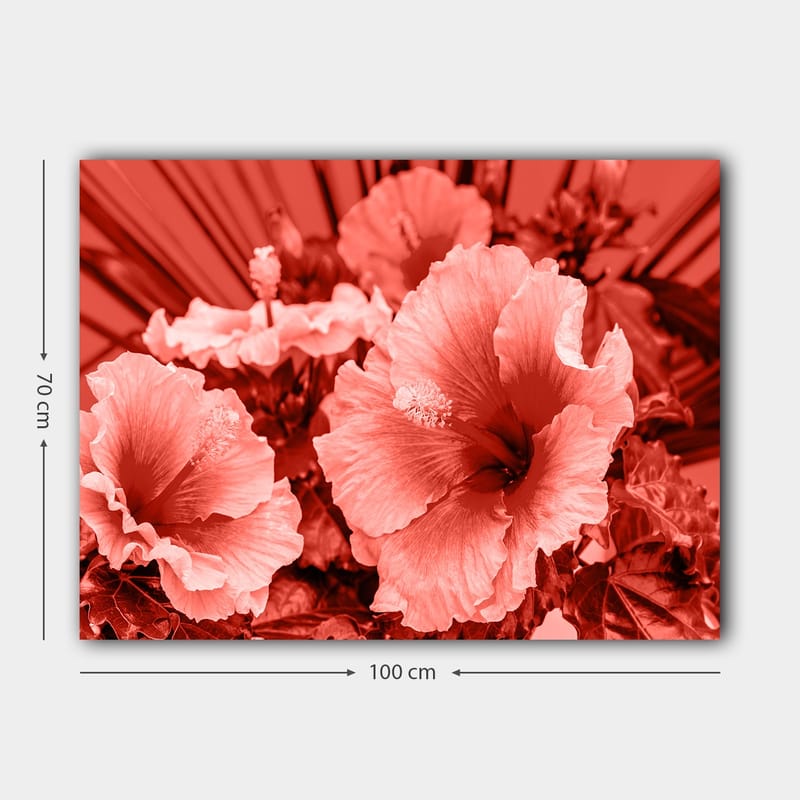 Lerretsbilde 70x100 cm - Vakker komposisjon av hibiskusblomster i forskjellige røde nyanser - Rød / Lys rosa - Innredning - Bilder & kunst - Lerretsbilder