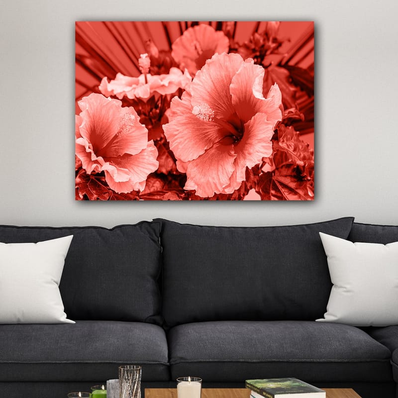 Lerretsbilde 70x100 cm - Vakker komposisjon av hibiskusblomster i forskjellige røde nyanser - Rød / Lys rosa - Innredning - Bilder & kunst - Lerretsbilder