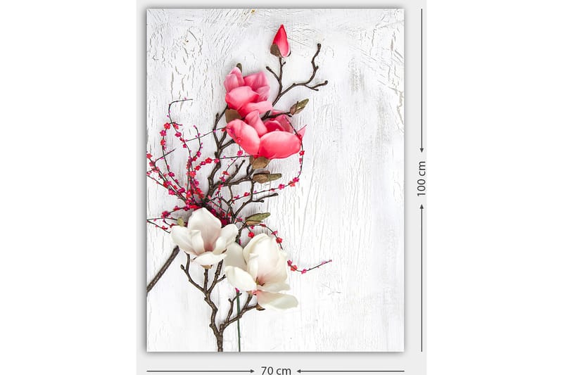 Lerretsbilde 70x100 cm - Vakker komposisjon av magnoliablomster i rosa og hvitt på en diskret bakgrunn - Rosa / Hvit / Grønn - Innredning - Bilder & kunst - Lerretsbilder