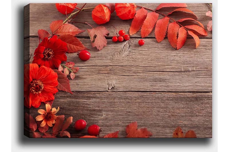 Lerretsbilde 70x100 cm - Vakker komposisjon av røde blomster og høstblader mot en trebakgrunn - Rød / Oransje / Brun - Innredning - Bilder & kunst - Lerretsbilder