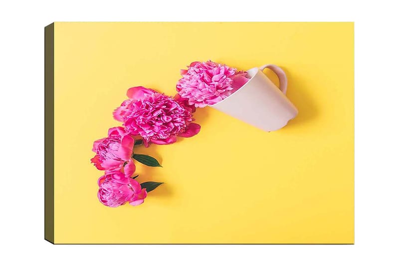 Lerretsbilde 70x100 cm - Vakker komposisjon av rosa peoner som henger over en hvit kopp, Rosa / Gul