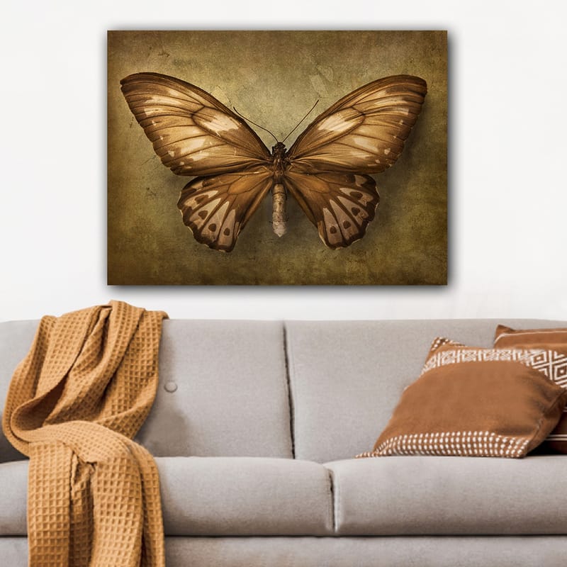 Lerretsbilde 70x100 cm - Vakker sommerfugl med detaljerte vinger i brune og beige nyanser - Brun / Beige - Innredning - Bilder & kunst - Lerretsbilder