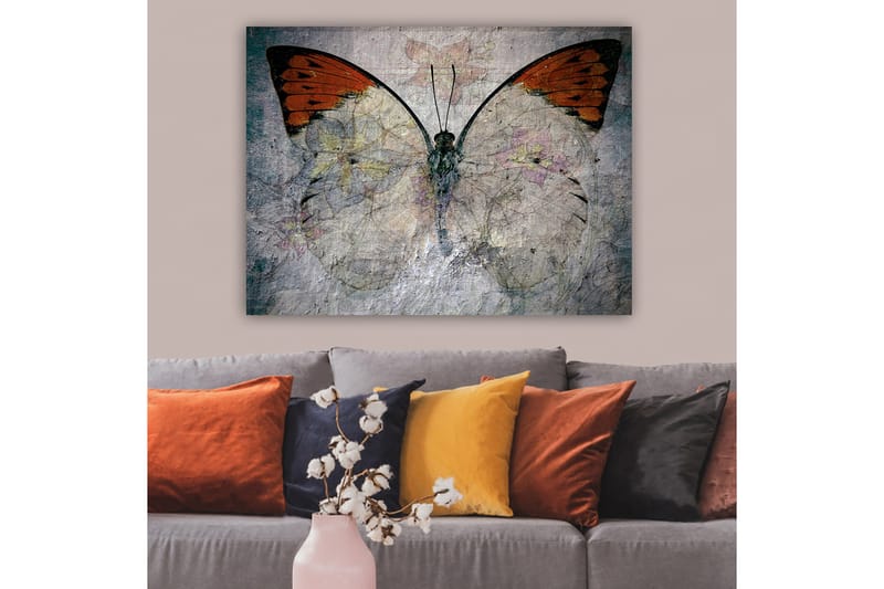 Lerretsbilde 70x100 cm - Vakker sommerfugl med oransje og hvite vinger som fremhever naturens skjønnhet, Oransje / Hvit / Grå