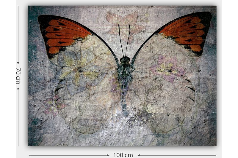 Lerretsbilde 70x100 cm - Vakker sommerfugl med oransje og hvite vinger som fremhever naturens skjønnhet - Oransje / Hvit / Grå - Innredning - Bilder & kunst - Lerretsbilder