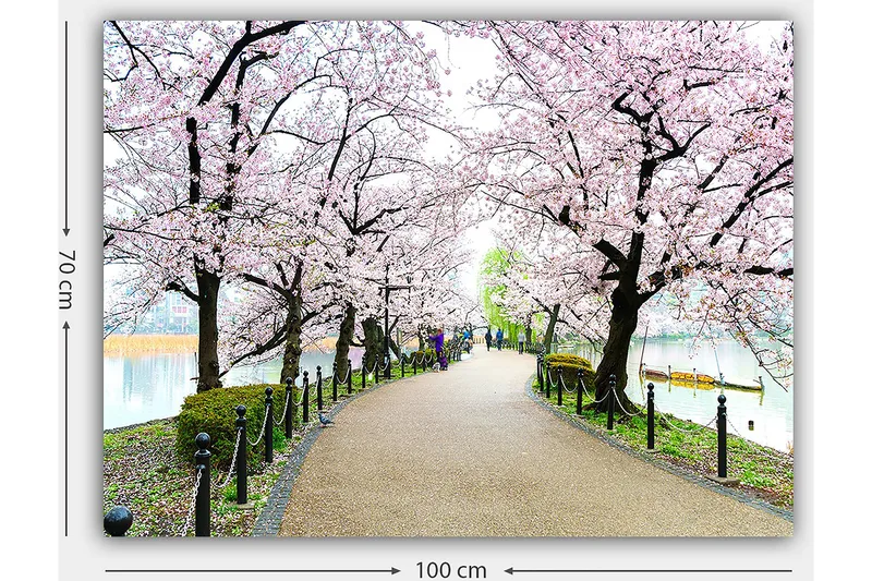 Lerretsbilde 70x100 cm - Vakker sti omkranset av kirsebærtrær i full blomst - Rosa / Grønn / Brun - Innredning - Bilder & kunst - Lerretsbilder