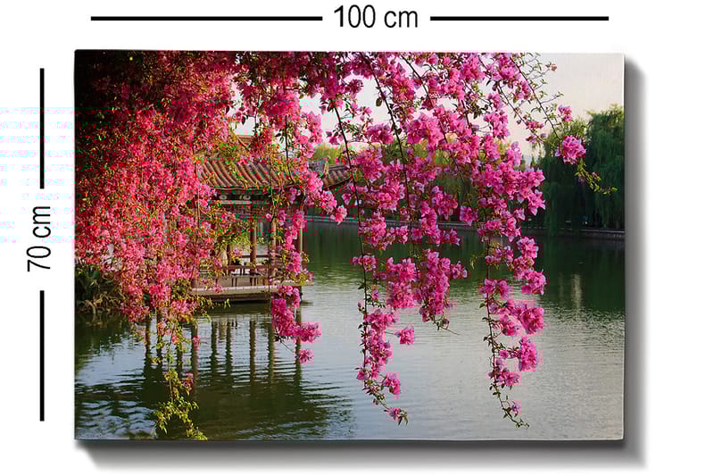 Lerretsbilde 70x100 cm - Vakker utsikt over blomstrende bougainvillea som henger over en rolig innsjø og en tradisjonell paviljong i bakgrunnen - Rosa / Grønn / Blågrå - Innredning - Bilder & kunst - Lerretsbilder