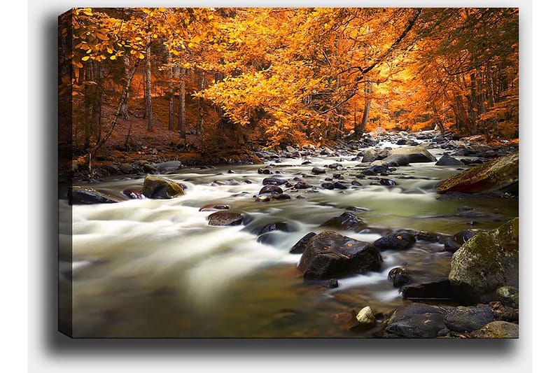 Lerretsbilde 70x100 cm - Vakkert høstlandskap med en rislende bekk omgitt av gyllent og oransje løvverk - Gyllen / Oransje / Grønn - Innredning - Bilder & kunst - Lerretsbilder