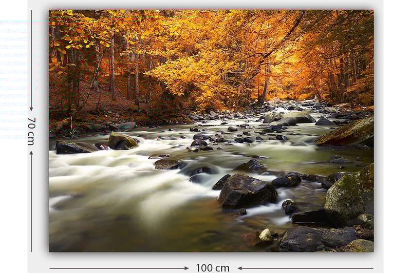 Lerretsbilde 70x100 cm - Vakkert høstlandskap med en rislende bekk omgitt av gyllent og oransje løvverk - Gyllen / Oransje / Grønn - Innredning - Bilder & kunst - Lerretsbilder