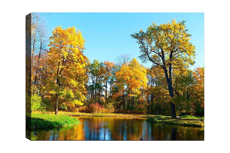 Lerretsbilde 70x100 cm - Vakkert høstlandskap med fargerike trær og en speilblank innsjø, Gyllen gul / Grønn / Blå