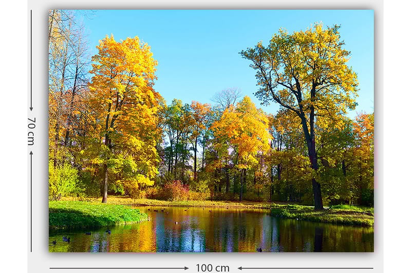 Lerretsbilde 70x100 cm - Vakkert høstlandskap med fargerike trær og en speilblank innsjø - Gyllen gul / Grønn / Blå - Innredning - Bilder & kunst - Lerretsbilder