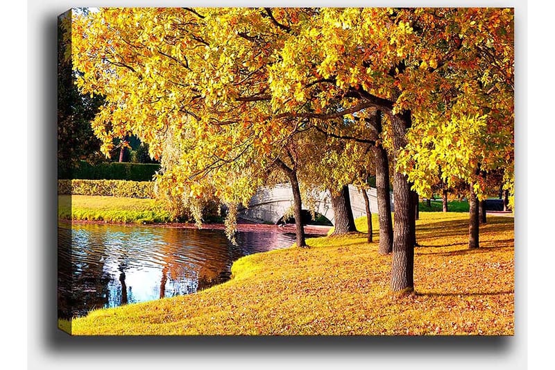 Lerretsbilde 70x100 cm - Vakkert høstmotiv med gylne trær som speiler seg i en stille innsjø - Gull / Grønn / Brun - Innredning - Bilder & kunst - Lerretsbilder