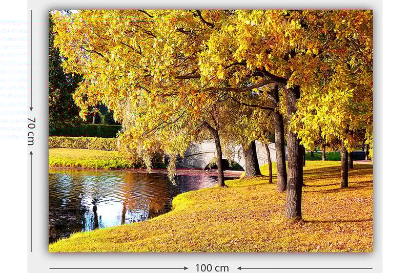 Lerretsbilde 70x100 cm - Vakkert høstmotiv med gylne trær som speiler seg i en stille innsjø - Gull / Grønn / Brun - Innredning - Bilder & kunst - Lerretsbilder