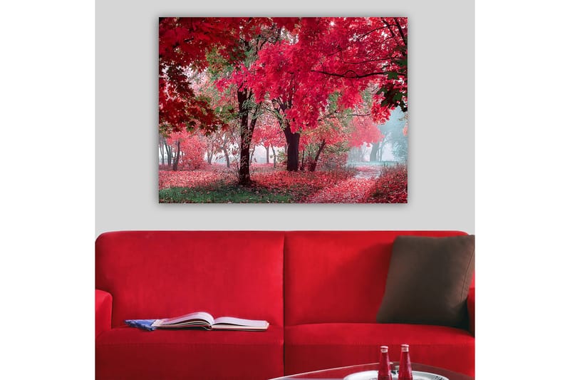 Lerretsbilde 70x100 cm - Vakkert høstmotiv med røde og oransje blader som dekker trærne og bakken - Rød / Oransje / Grønn - Innredning - Bilder & kunst - Lerretsbilder