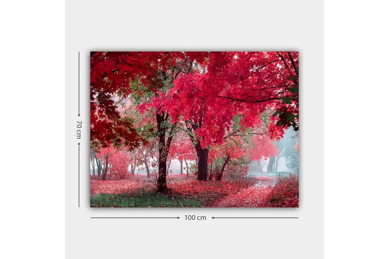 Lerretsbilde 70x100 cm - Vakkert høstmotiv med røde og oransje blader som dekker trærne og bakken - Rød / Oransje / Grønn - Innredning - Bilder & kunst - Lerretsbilder