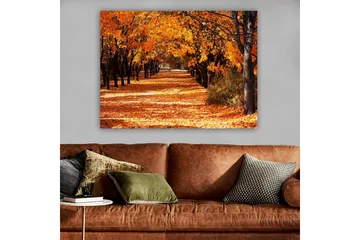 Lerretsbilde 70x100 cm - Vakkert høstmotiv med trær i sterke oransje og gule nyanser som skaper en innbydende gangvei dekket av falne blader - Oransje / Gul / Brun - Innredning - Bilder & kunst - Lerretsbilder