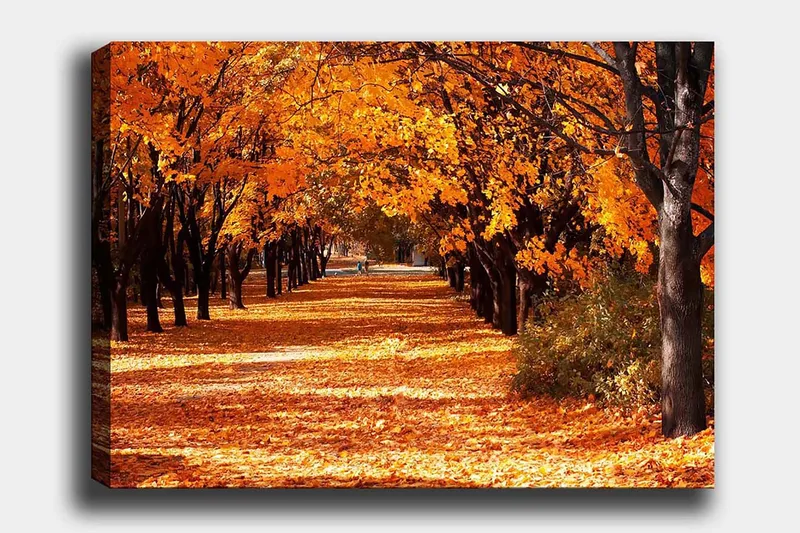 Lerretsbilde 70x100 cm - Vakkert høstmotiv med trær i sterke oransje og gule nyanser som skaper en innbydende gangvei dekket av falne blader, Oransje / Gul / Brun