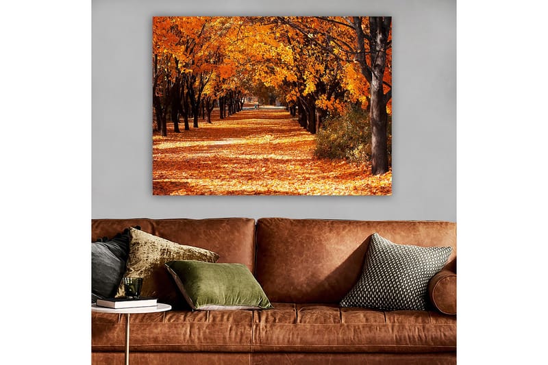 Lerretsbilde 70x100 cm - Vakkert høstmotiv med trær i sterke oransje og gule nyanser som skaper en innbydende gangvei dekket av falne blader - Oransje / Gul / Brun - Innredning - Bilder & kunst - Lerretsbilder