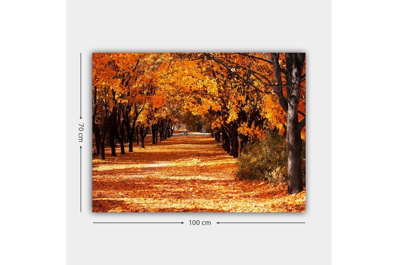 Lerretsbilde 70x100 cm - Vakkert høstmotiv med trær i sterke oransje og gule nyanser som skaper en innbydende gangvei dekket av falne blader - Oransje / Gul / Brun - Innredning - Bilder & kunst - Lerretsbilder