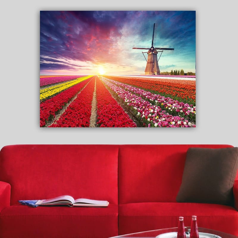 Lerretsbilde 70x100 cm - Vakkert landskapsmaleri med tulipanåkre i forskjellige farger og en vindmølle i bakgrunnen - Rød / Lilla / Gul - Innredning - Bilder & kunst - Lerretsbilder