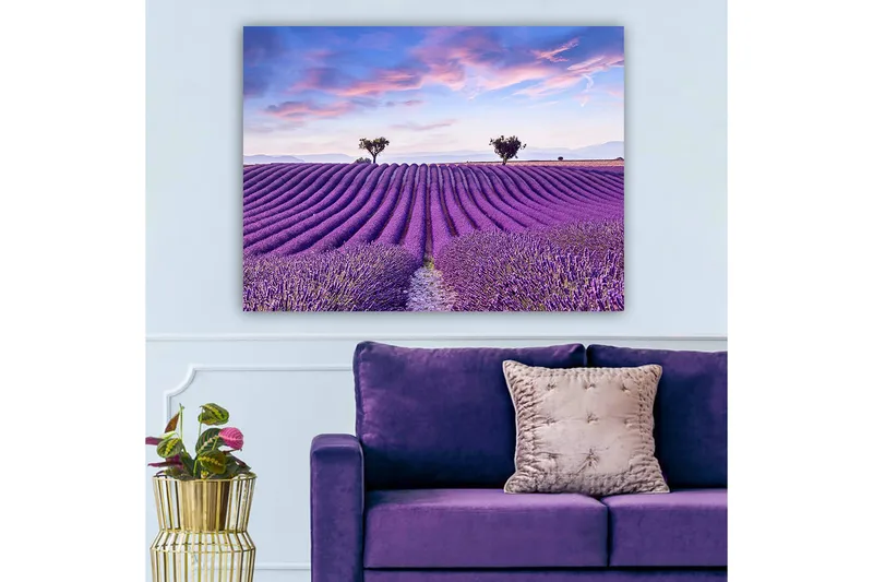 Lerretsbilde 70x100 cm - Vakkert lavendelfelt med myke, bølgete rader av lavendelblomster under en klar himmel - Lilla / Grønn / Blå - Innredning - Bilder & kunst - Lerretsbilder