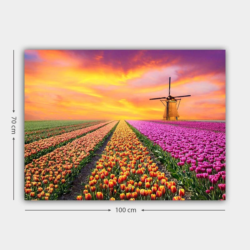 Lerretsbilde 70x100 cm - Vakkert tulipanfelt med en tradisjonell vindmølle i solnedgangens lys - Lilla / Oransje / Grønn - Innredning - Bilder & kunst - Lerretsbilder