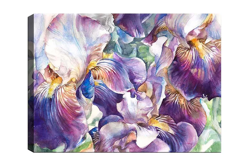 Lerretsbilde 70x100 cm - Vakre irisblomster i en fargerik komposisjon, Lilla / Hvit / Gul