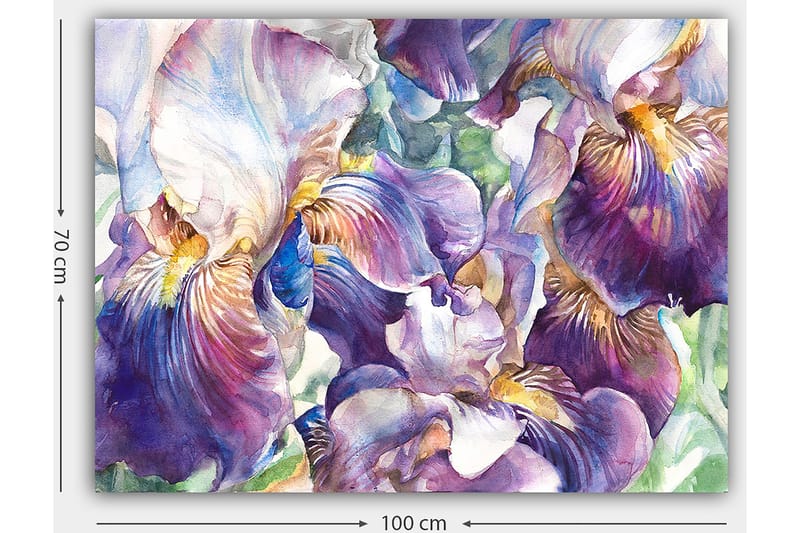 Lerretsbilde 70x100 cm - Vakre irisblomster i en fargerik komposisjon - Lilla / Hvit / Gul - Innredning - Bilder & kunst - Lerretsbilder