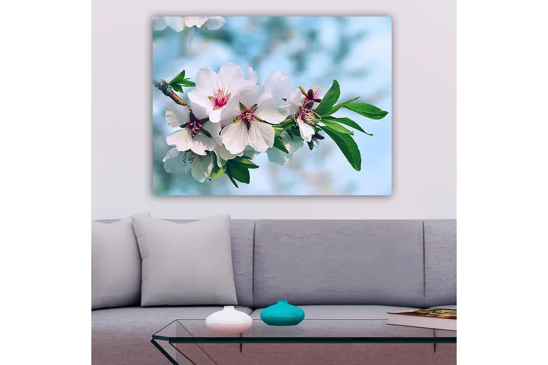 Lerretsbilde 70x100 cm - Vakre kirsebærblomster i full blomst på en gren - Hvit / Grønn / Rosa - Innredning - Bilder & kunst - Lerretsbilder