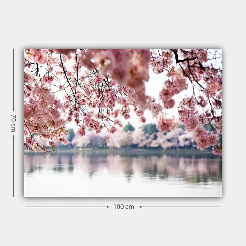Lerretsbilde 70x100 cm - Vakre kirsebærblomster som flyter over en speilblank innsjø - Lys rosa / Mørk rosa / Grønn - Innredning - Bilder & kunst - Lerretsbilder