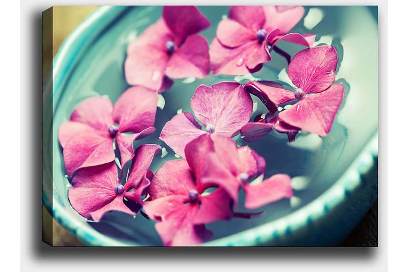 Lerretsbilde 70x100 cm - Vakre rosa blomster som flyter i en turkis bolle - Rosa / Turkis - Innredning - Bilder & kunst - Lerretsbilder