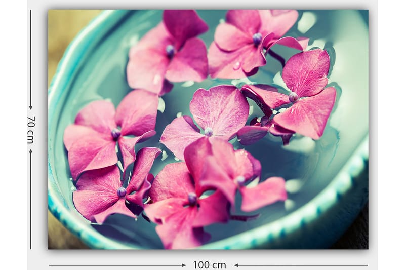 Lerretsbilde 70x100 cm - Vakre rosa blomster som flyter i en turkis bolle - Rosa / Turkis - Innredning - Bilder & kunst - Lerretsbilder