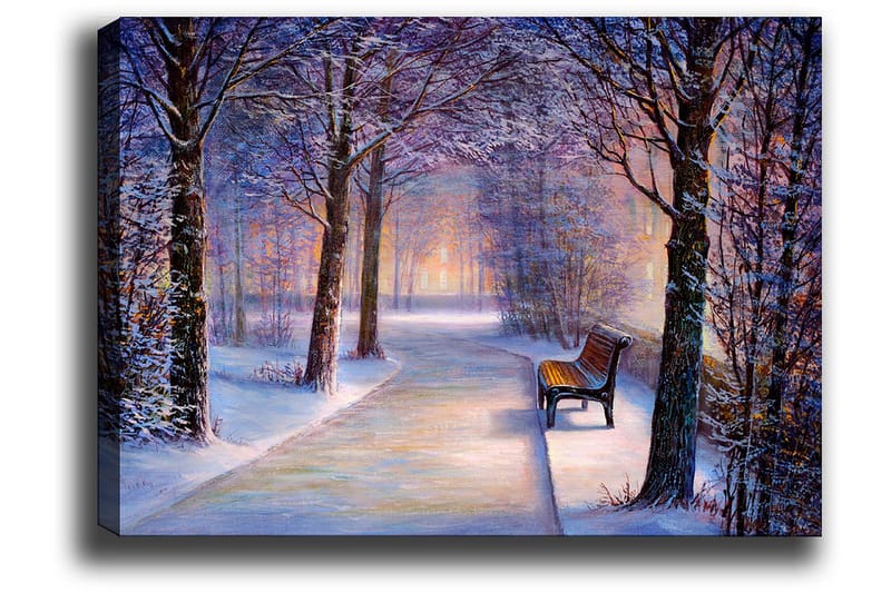 Lerretsbilde 70x100 cm - Vintertur med snødekte trær og en ensom benk langs en sti - Blå / Hvit / Grå - Innredning - Bilder & kunst - Lerretsbilder