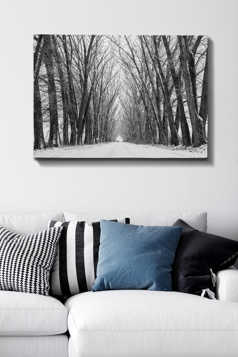 Lerretsbilde 70x100 cm - Vintervei omgitt av nakne trær som skaper en stemningsfull og fredelig atmosfære - Svart / Hvit / Grå - Innredning - Bilder & kunst - Lerretsbilder