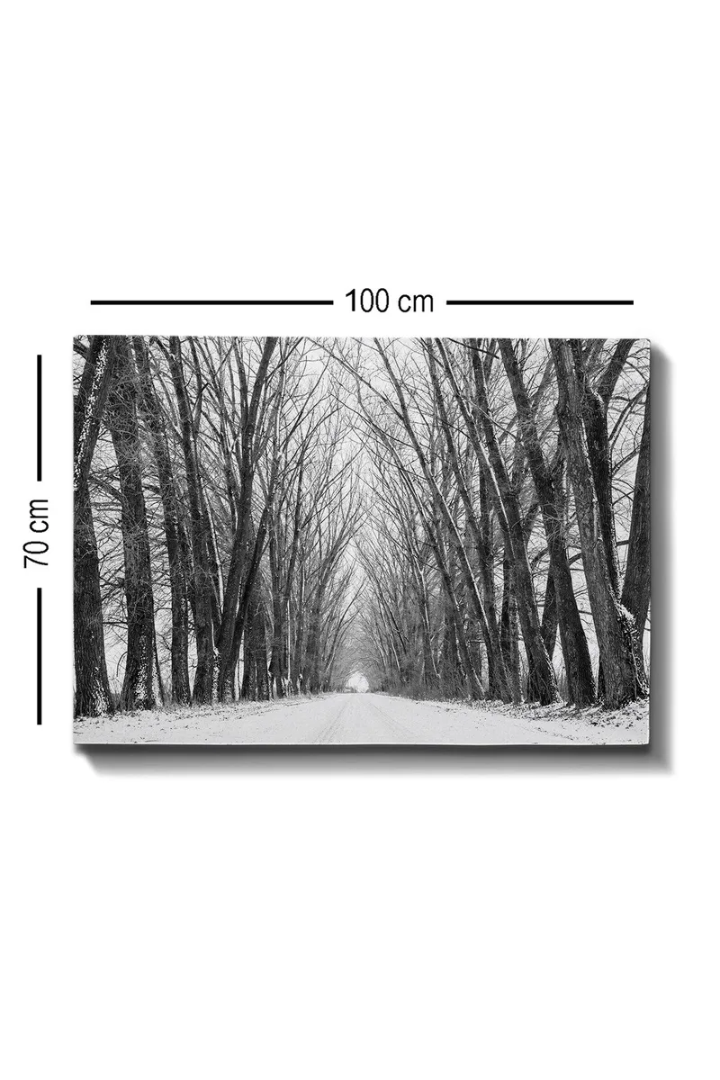 Lerretsbilde 70x100 cm - Vintervei omgitt av nakne trær som skaper en stemningsfull og fredelig atmosfære - Svart / Hvit / Grå - Innredning - Bilder & kunst - Lerretsbilder