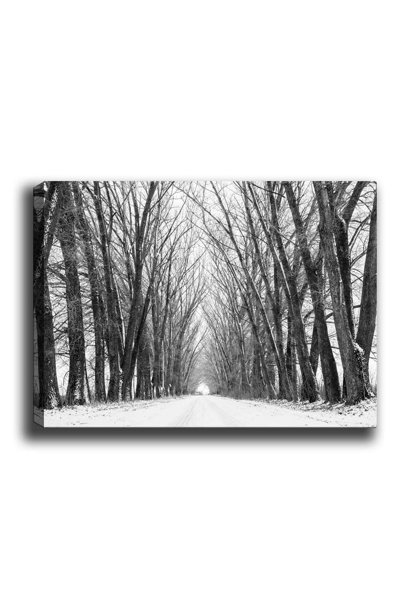 Lerretsbilde 70x100 cm - Vintervei omgitt av nakne trær som skaper en stemningsfull og fredelig atmosfære, Svart / Hvit / Grå